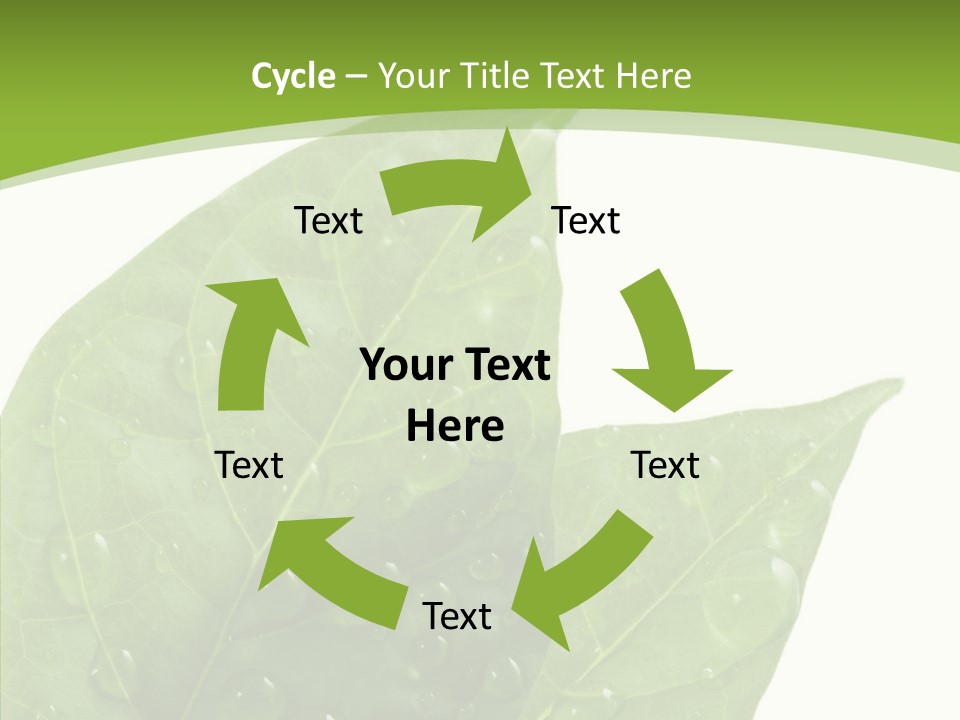 Dewdrops Clear Water PowerPoint Template