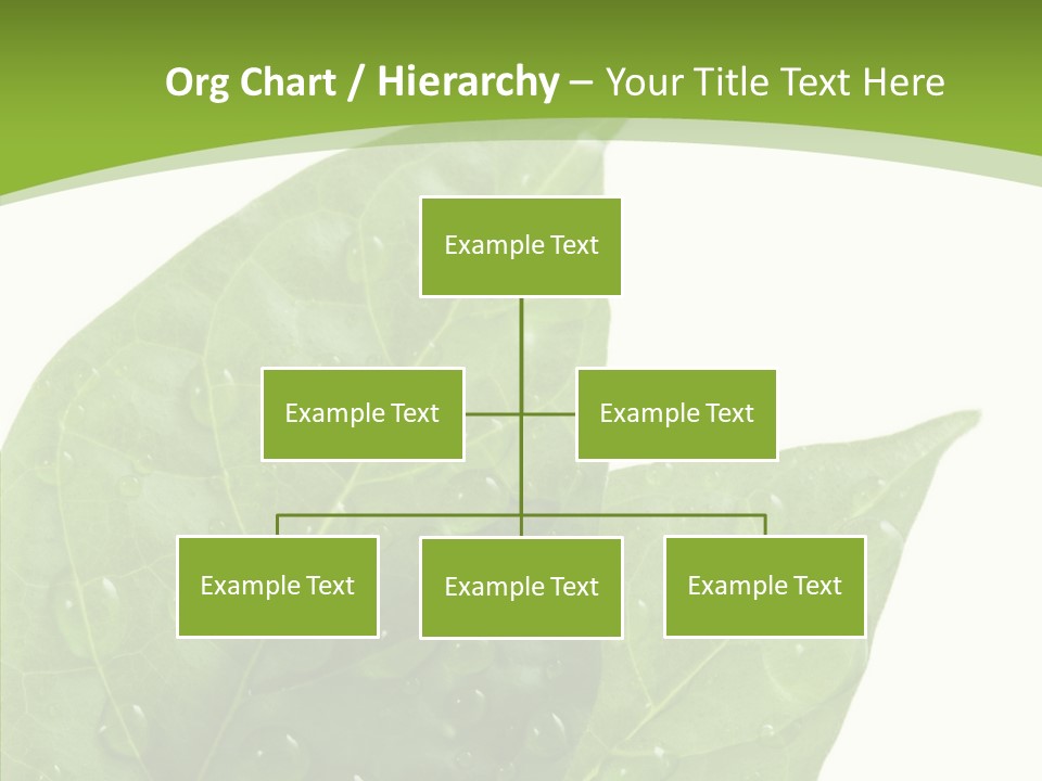 Dewdrops Clear Water PowerPoint Template