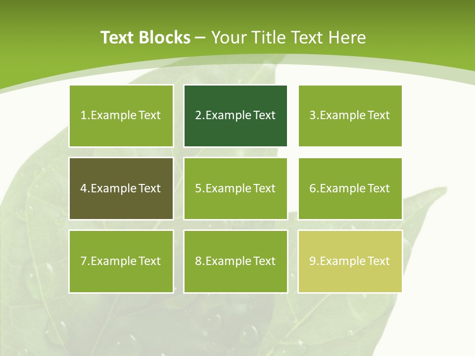 Dewdrops Clear Water PowerPoint Template