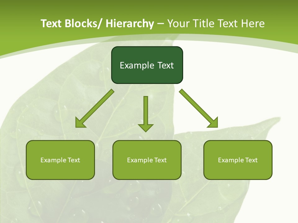 Dewdrops Clear Water PowerPoint Template