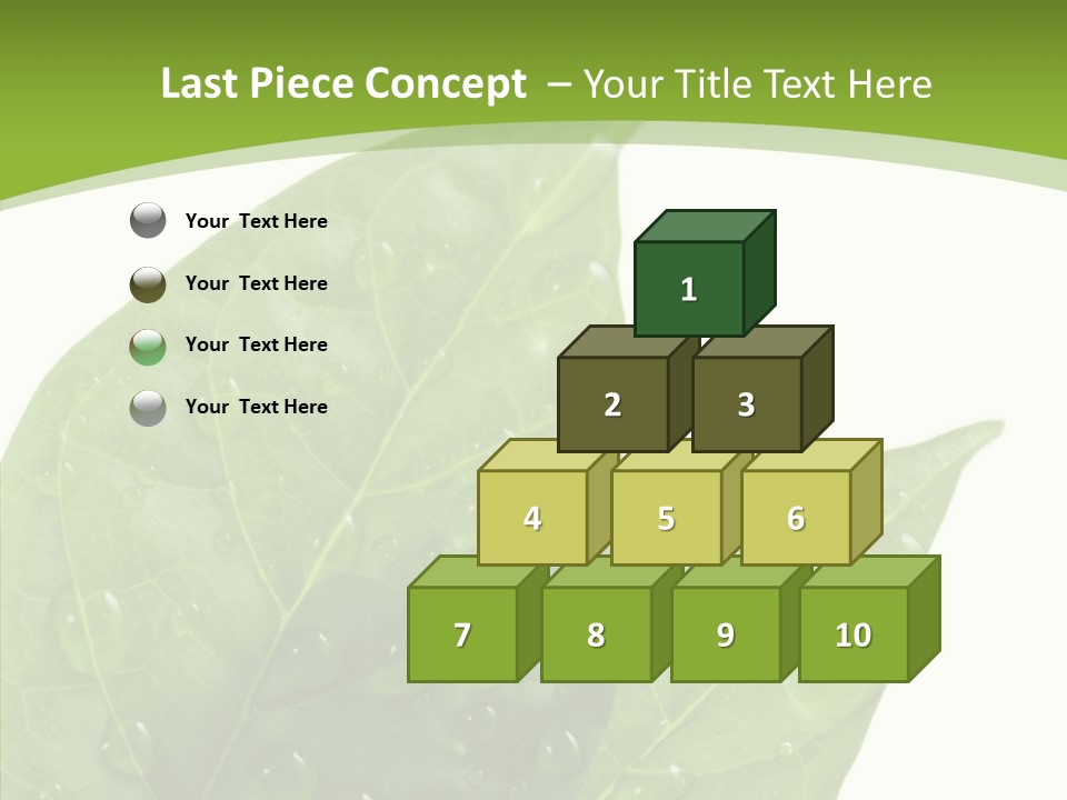 Dewdrops Clear Water PowerPoint Template