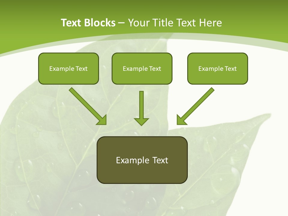 Dewdrops Clear Water PowerPoint Template