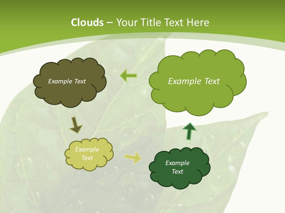 Dewdrops Clear Water PowerPoint Template