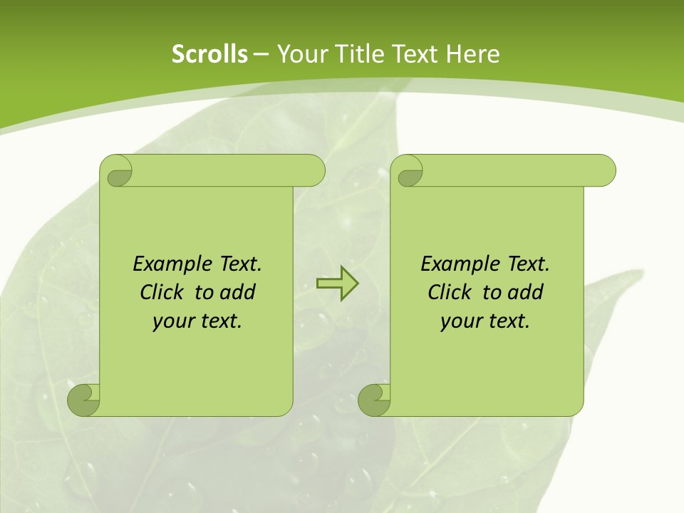 Dewdrops Clear Water PowerPoint Template