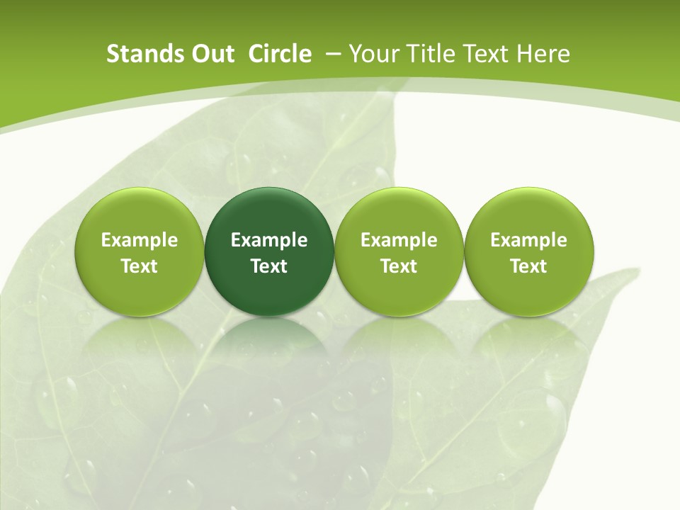 Dewdrops Clear Water PowerPoint Template