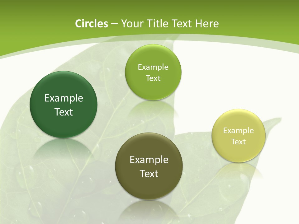 Dewdrops Clear Water PowerPoint Template