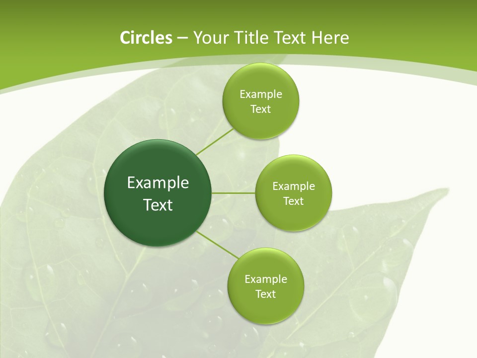 Dewdrops Clear Water PowerPoint Template