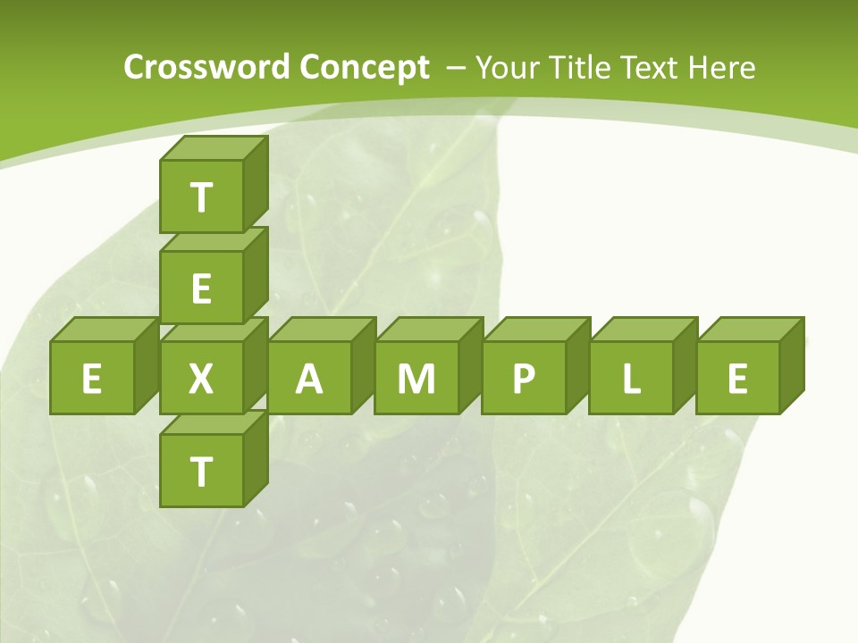 Dewdrops Clear Water PowerPoint Template