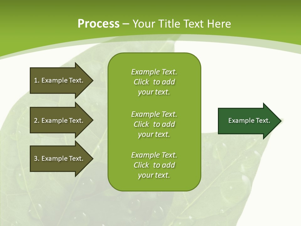 Dewdrops Clear Water PowerPoint Template