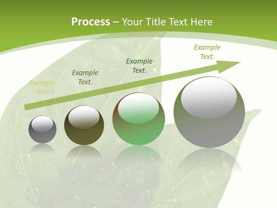 Dewdrops Clear Water PowerPoint Template