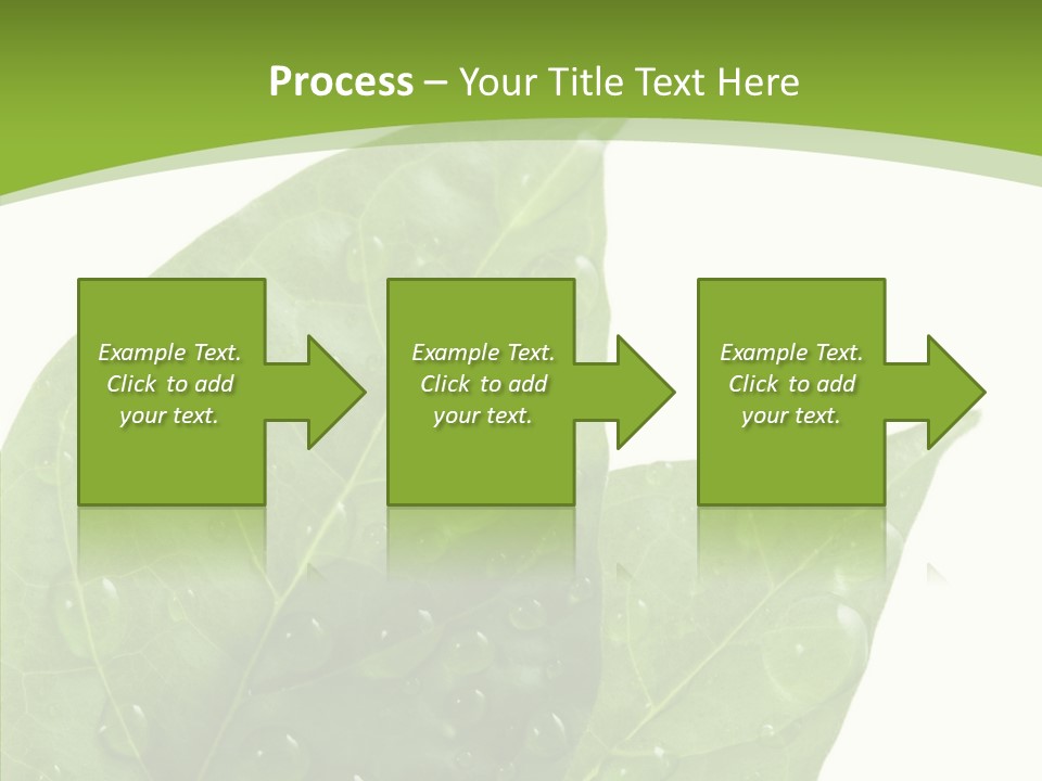 Dewdrops Clear Water PowerPoint Template