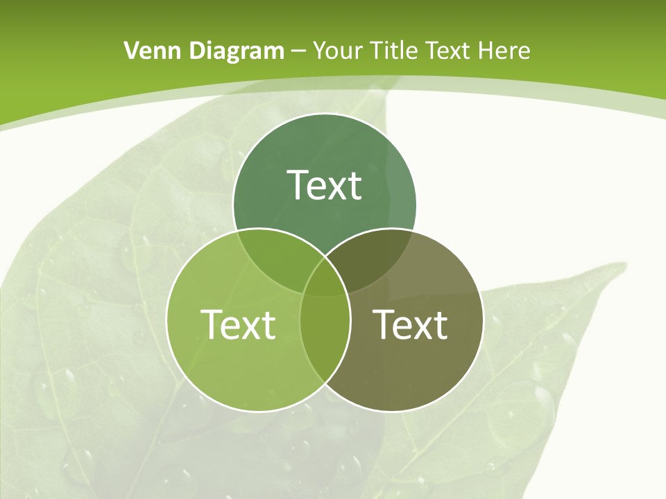 Dewdrops Clear Water PowerPoint Template