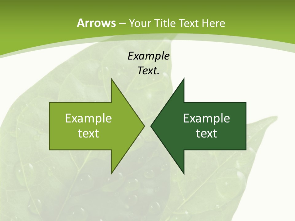 Dewdrops Clear Water PowerPoint Template