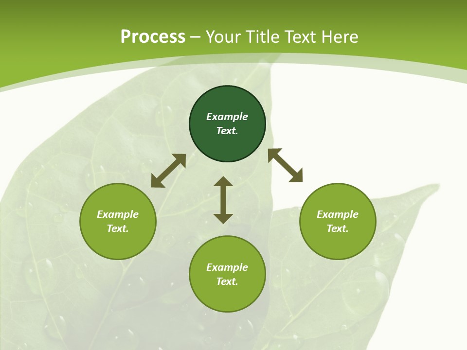 Dewdrops Clear Water PowerPoint Template