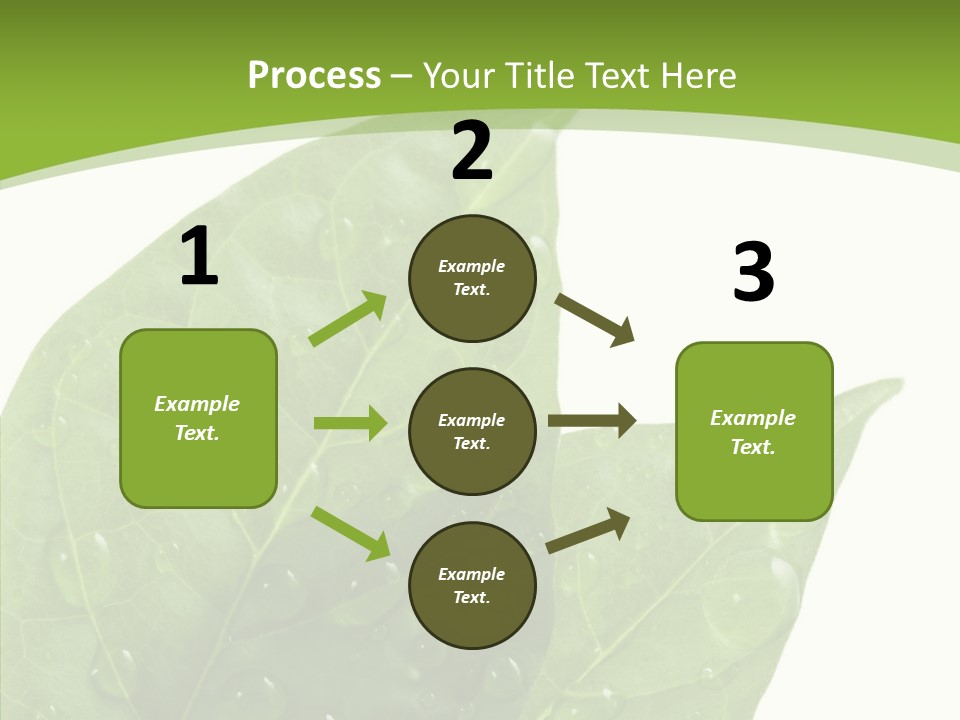 Dewdrops Clear Water PowerPoint Template