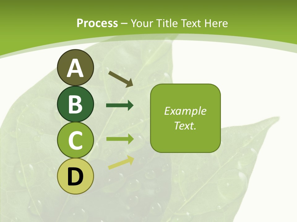 Dewdrops Clear Water PowerPoint Template