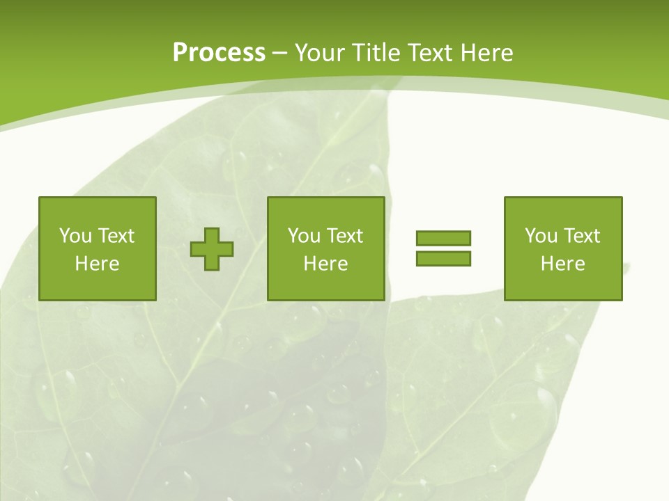 Dewdrops Clear Water PowerPoint Template