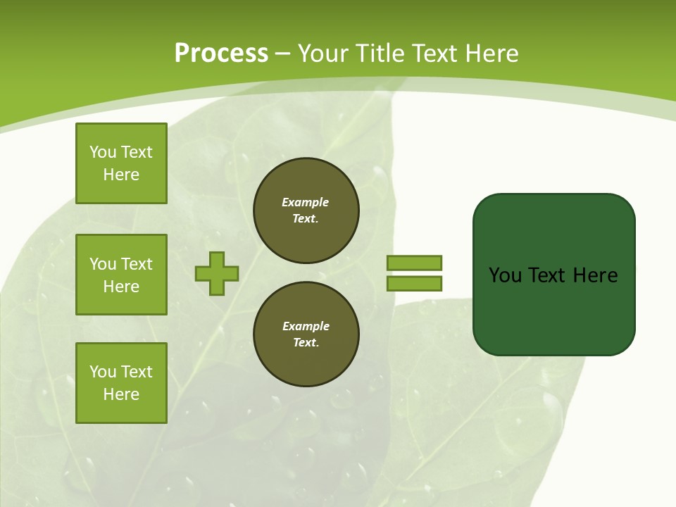 Dewdrops Clear Water PowerPoint Template