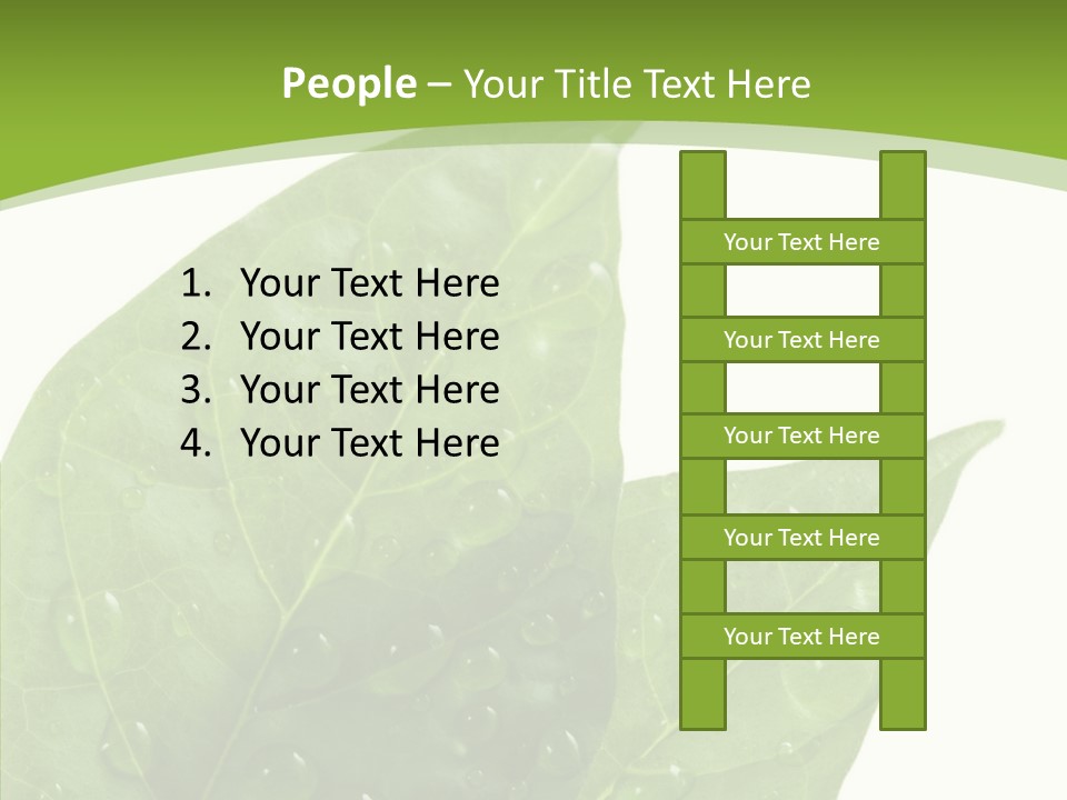 Dewdrops Clear Water PowerPoint Template