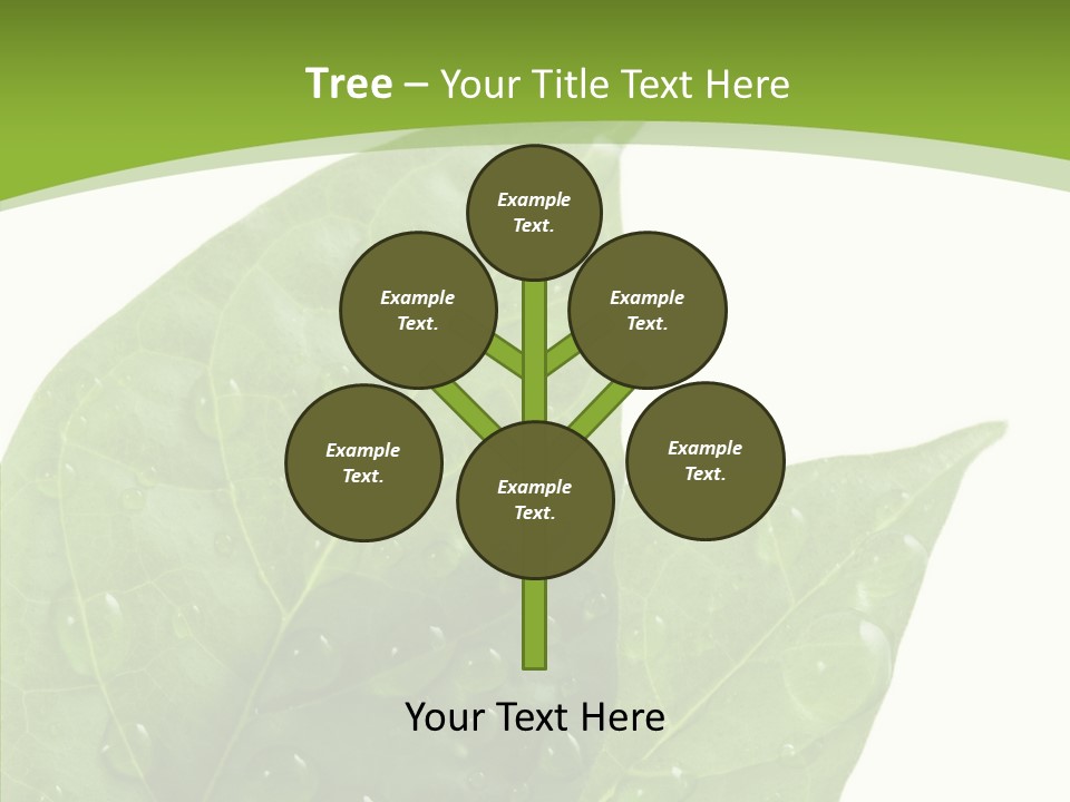 Dewdrops Clear Water PowerPoint Template