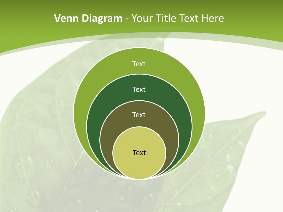 Dewdrops Clear Water PowerPoint Template