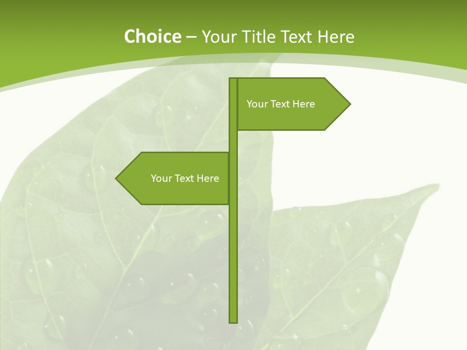 Dewdrops Clear Water PowerPoint Template