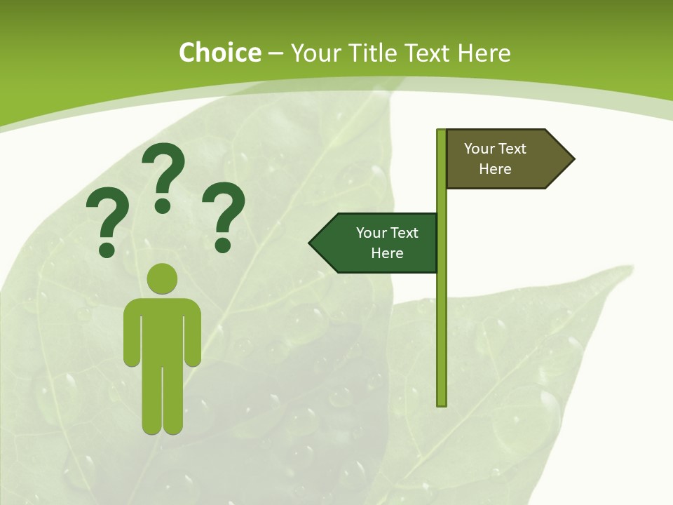 Dewdrops Clear Water PowerPoint Template