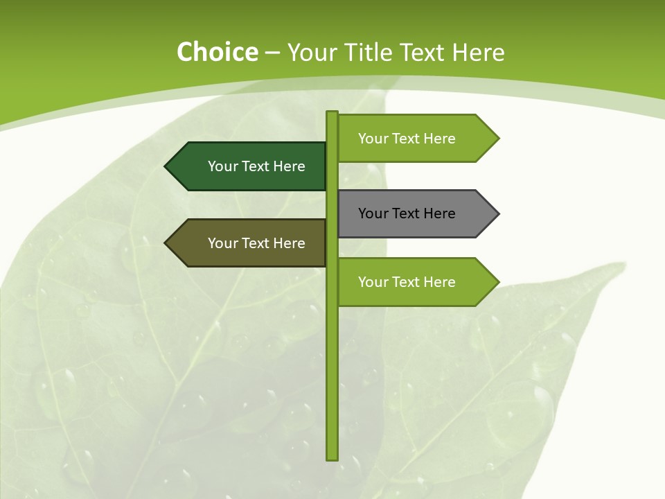 Dewdrops Clear Water PowerPoint Template