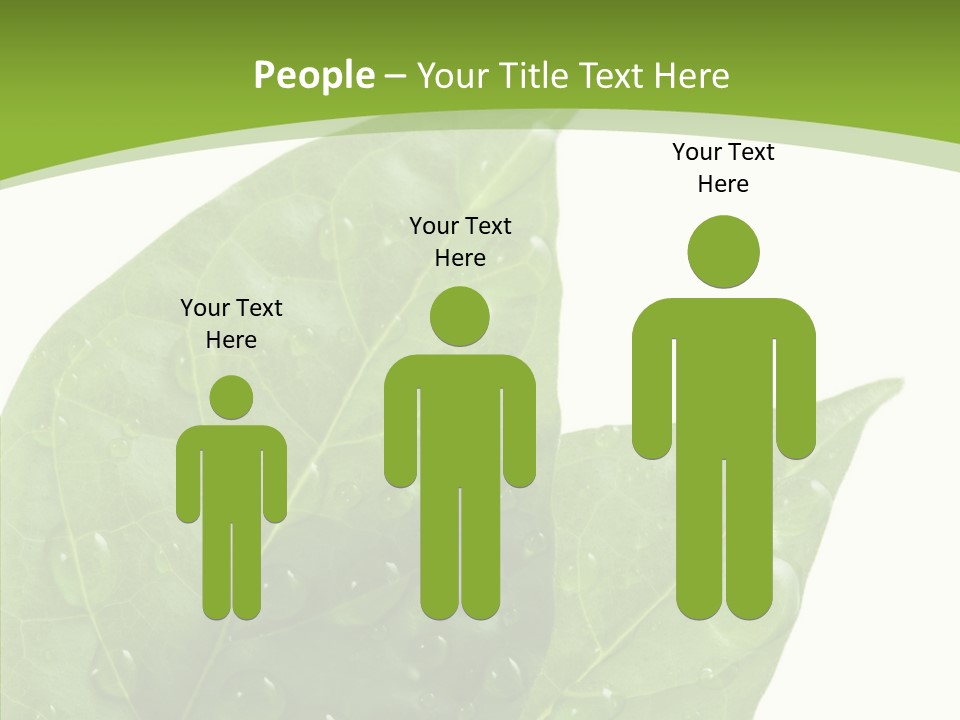 Dewdrops Clear Water PowerPoint Template