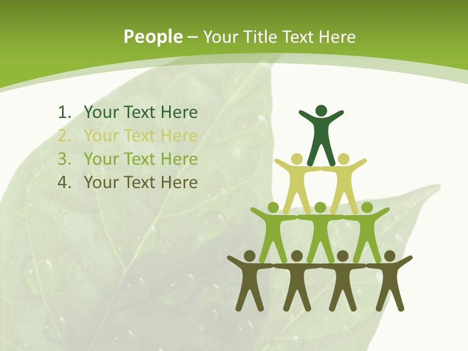 Dewdrops Clear Water PowerPoint Template