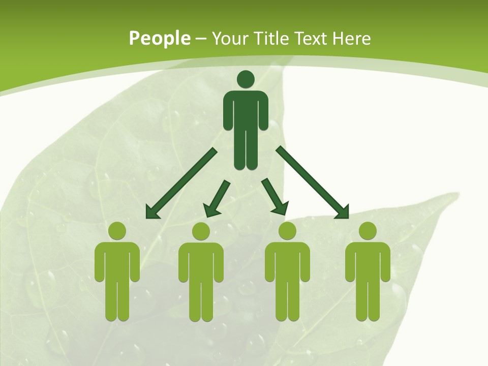 Dewdrops Clear Water PowerPoint Template