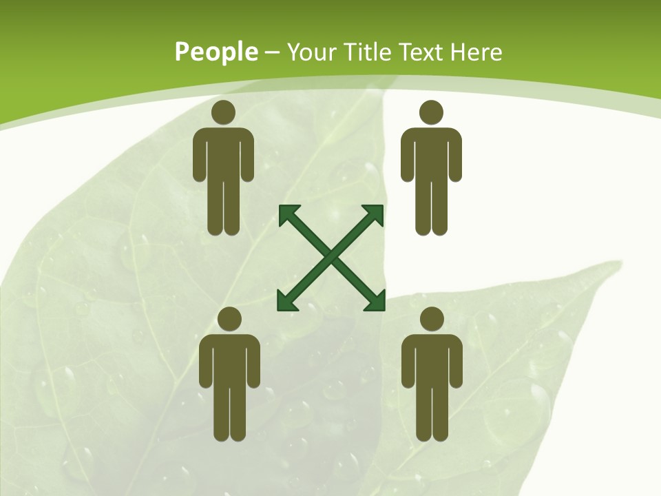 Dewdrops Clear Water PowerPoint Template