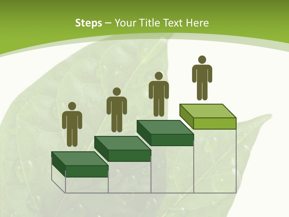 Dewdrops Clear Water PowerPoint Template