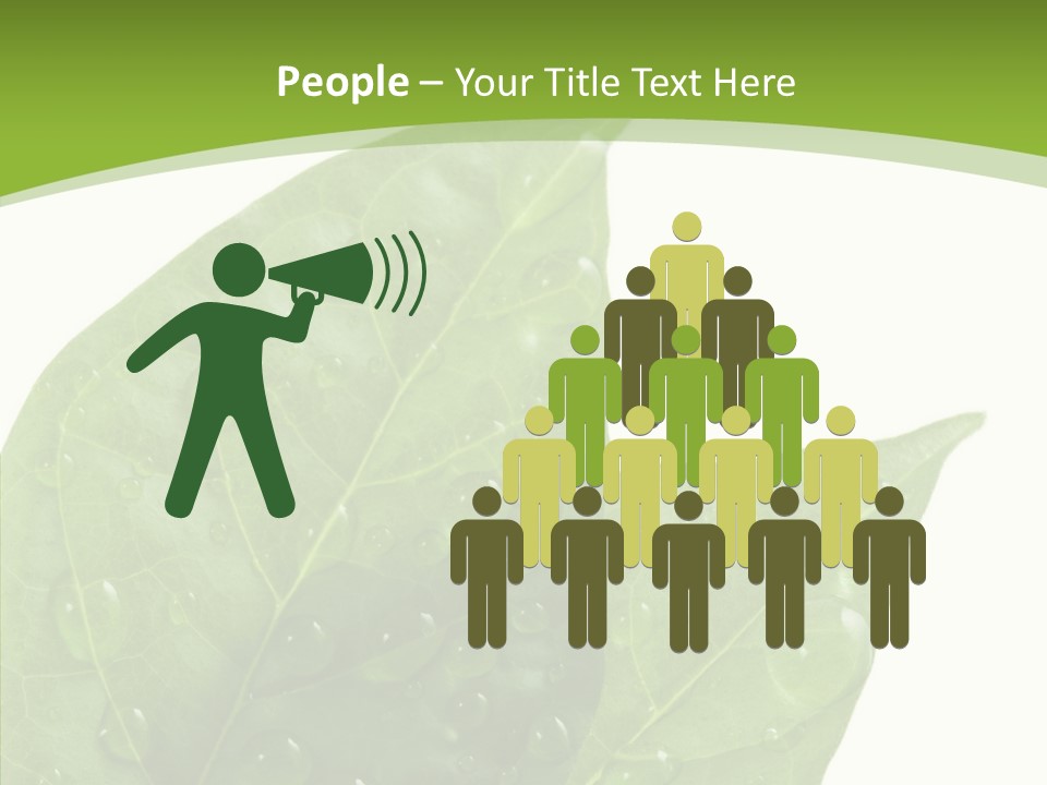 Dewdrops Clear Water PowerPoint Template