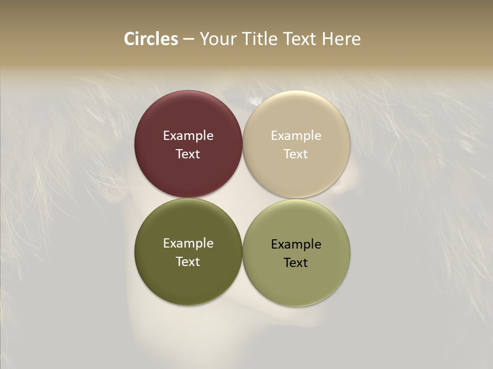 Sensuality Beauty Nosy PowerPoint Template