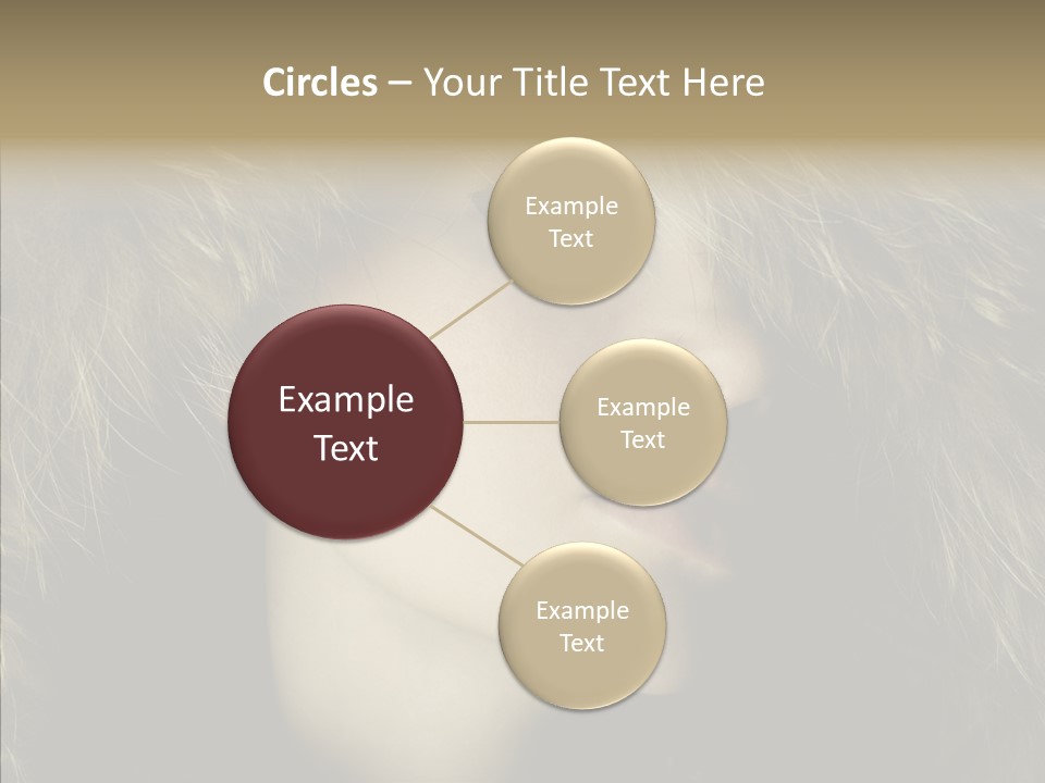 Sensuality Beauty Nosy PowerPoint Template