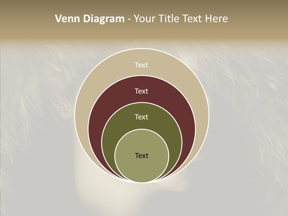 Sensuality Beauty Nosy PowerPoint Template