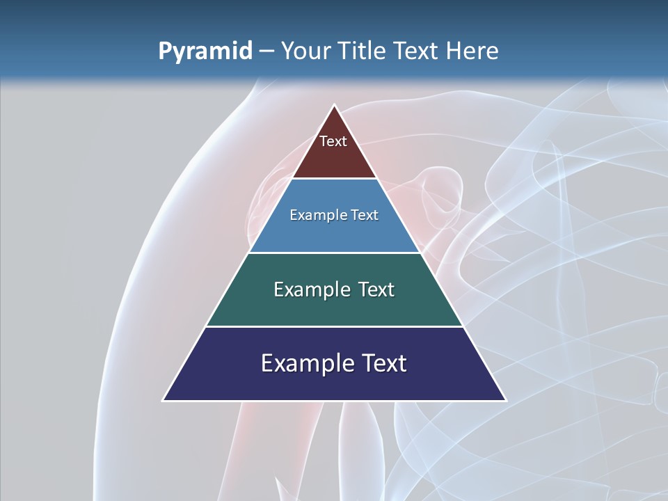 Inflammation Arthritis Pain PowerPoint Template