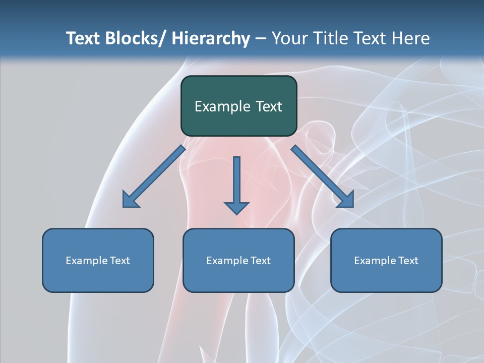 Inflammation Arthritis Pain PowerPoint Template