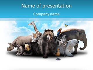 Colorful White Zebra PowerPoint Template
