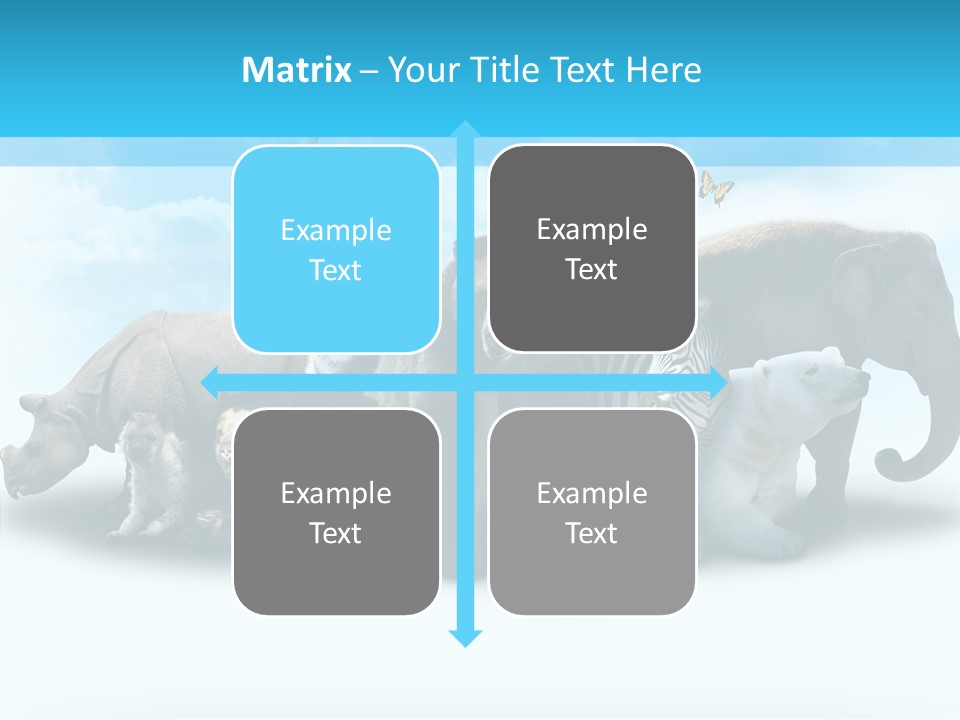 Colorful White Zebra PowerPoint Template