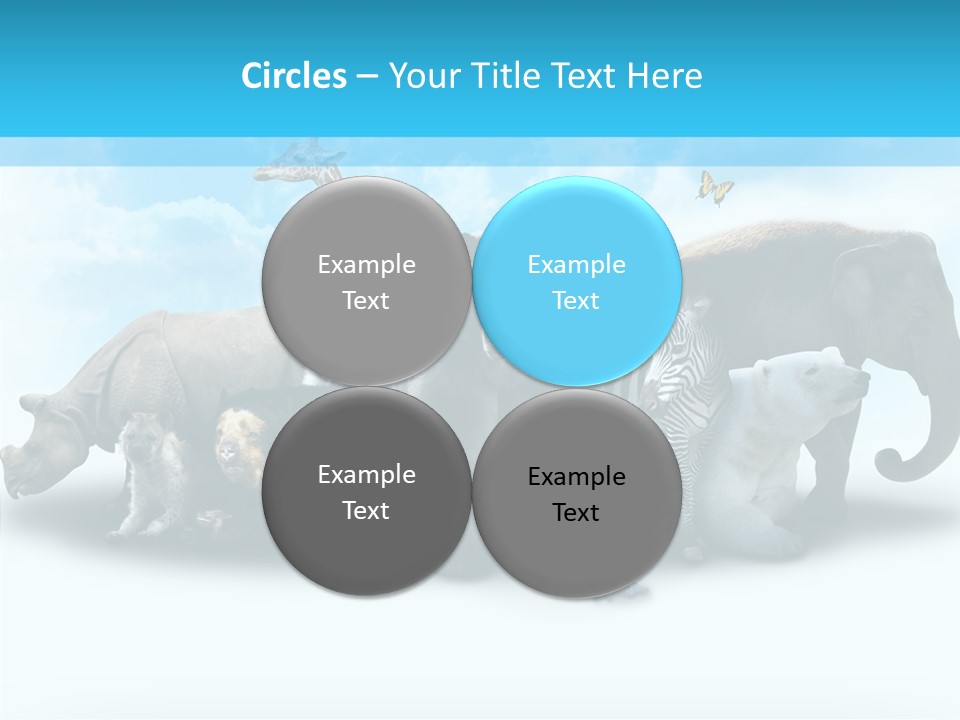 Colorful White Zebra PowerPoint Template