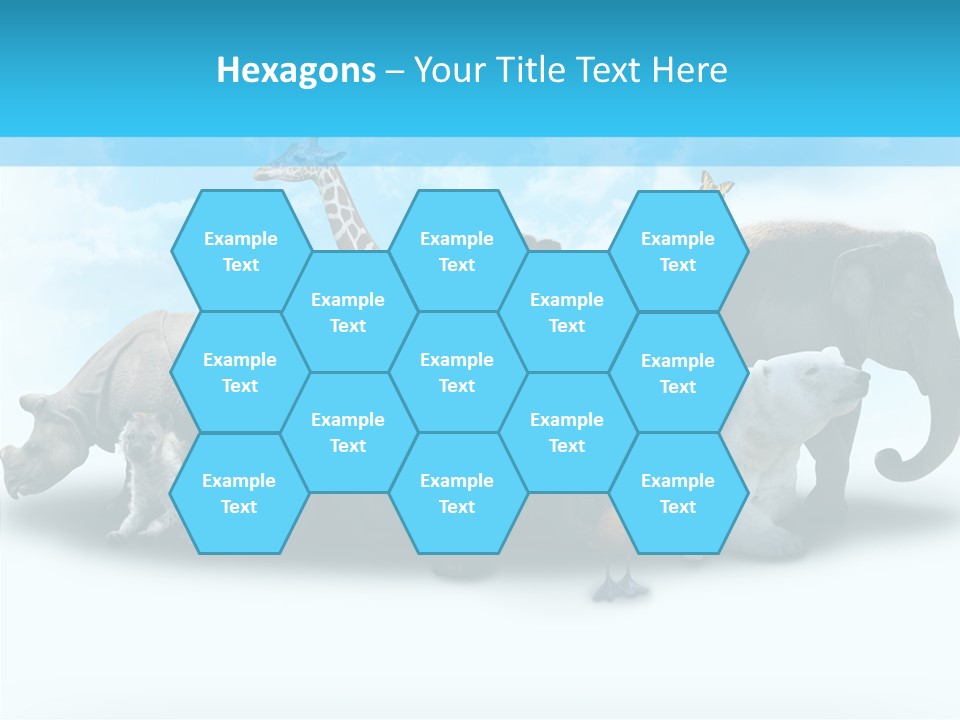 Colorful White Zebra PowerPoint Template