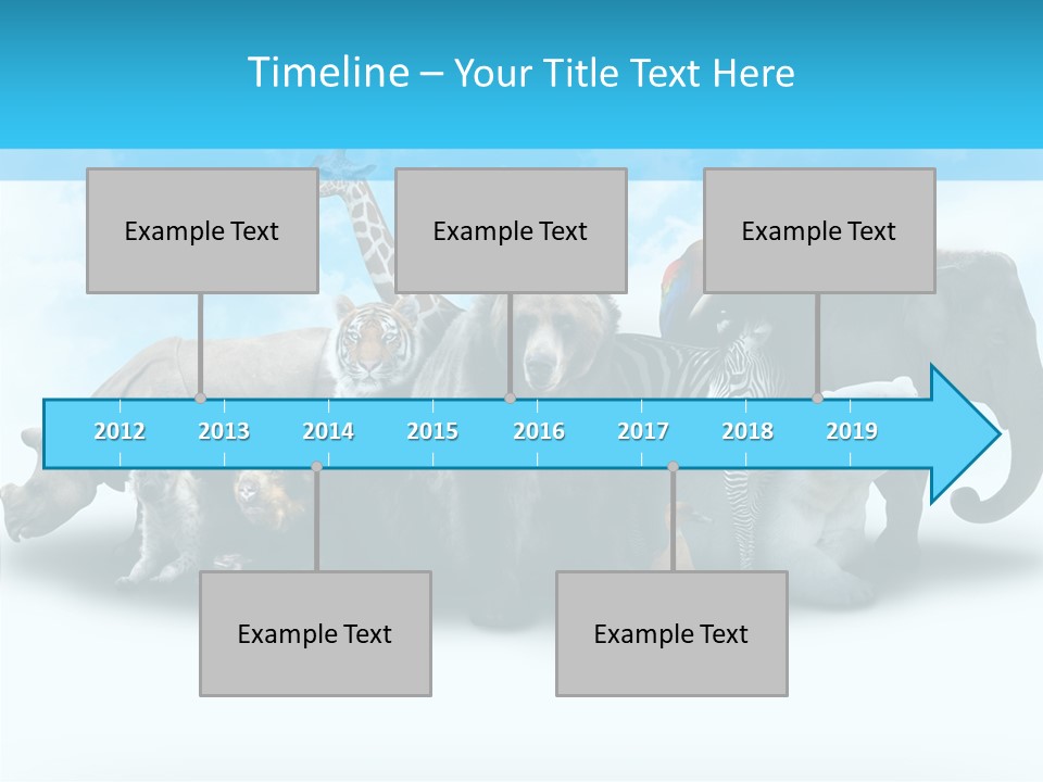 Colorful White Zebra PowerPoint Template
