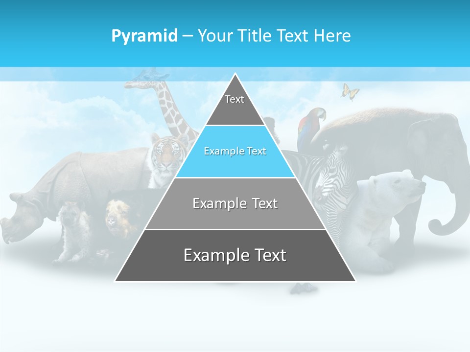 Colorful White Zebra PowerPoint Template