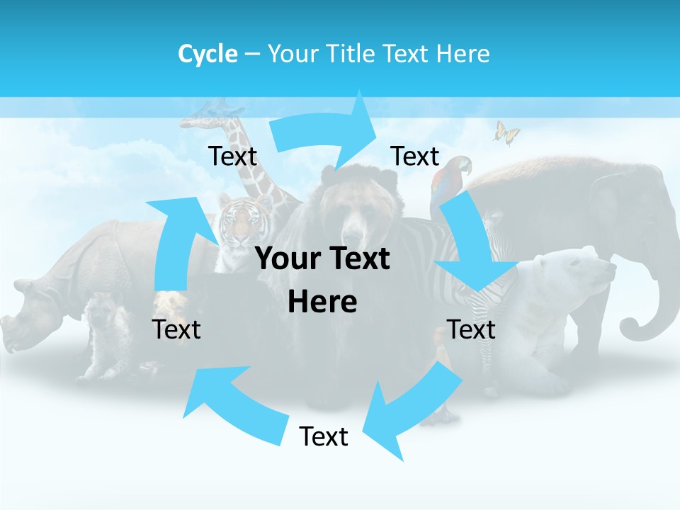 Colorful White Zebra PowerPoint Template