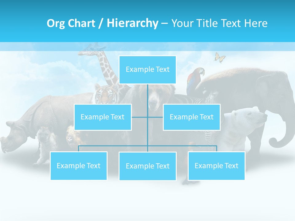 Colorful White Zebra PowerPoint Template