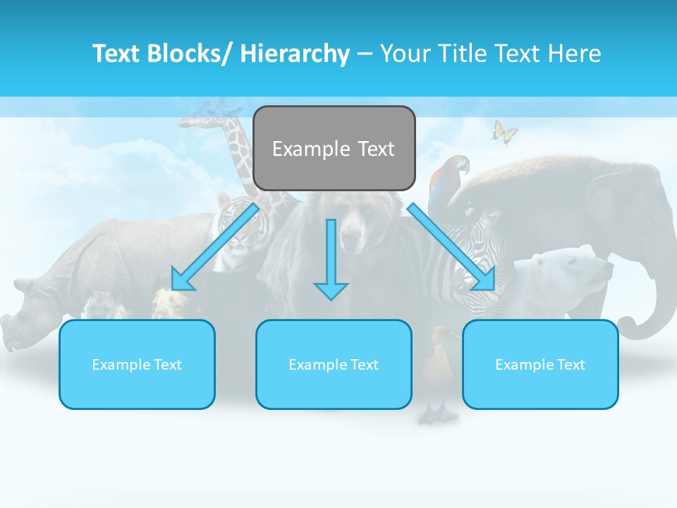 Colorful White Zebra PowerPoint Template