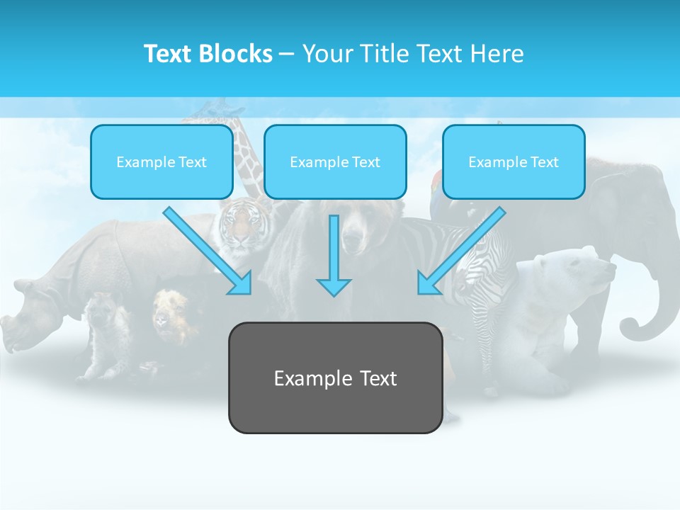 Colorful White Zebra PowerPoint Template