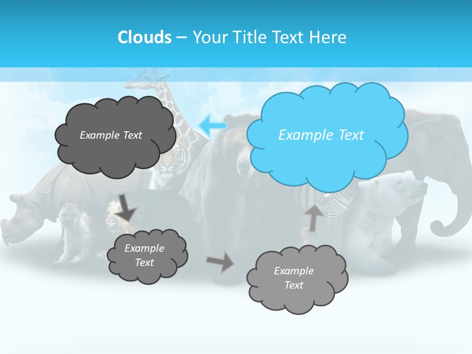 Colorful White Zebra PowerPoint Template